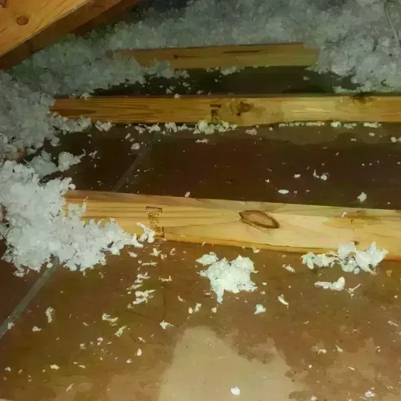 Attic Water Damage in Long Beach, CA