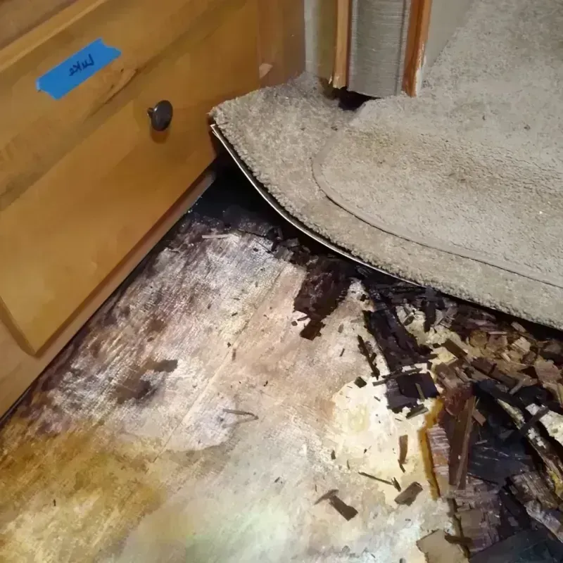 Best Wood Floor Water Damage Service in Long Beach, CA